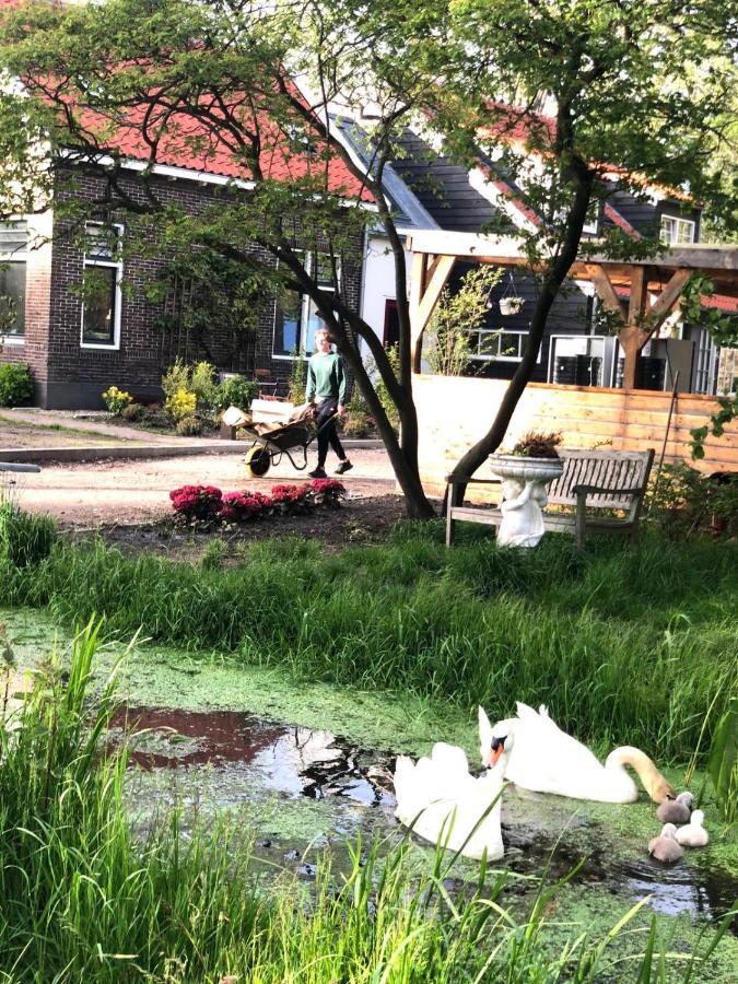 Homestead Amsterdam Luaran gambar