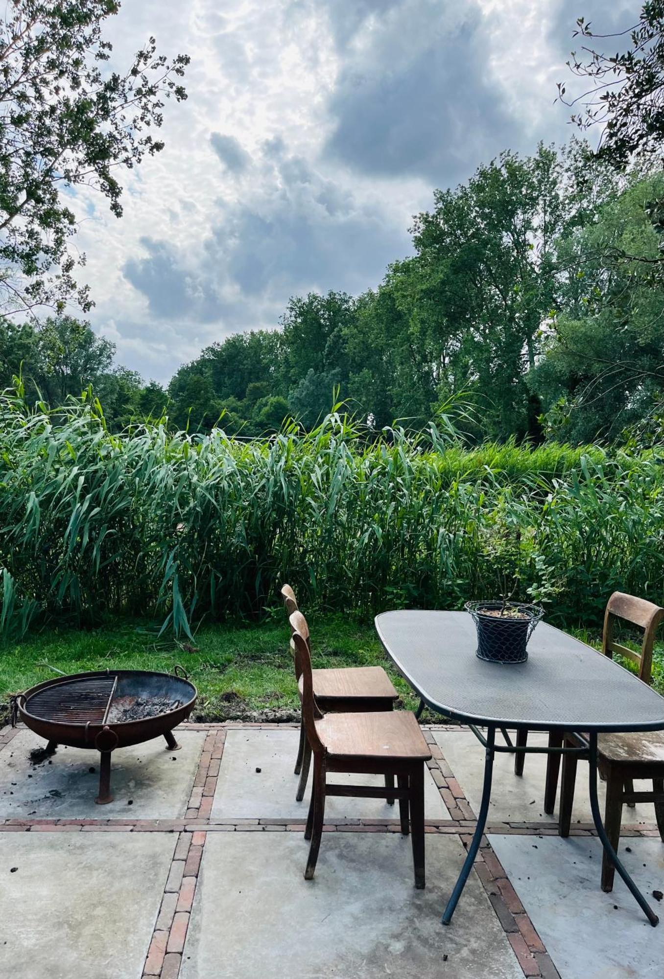 Homestead Amsterdam Luaran gambar